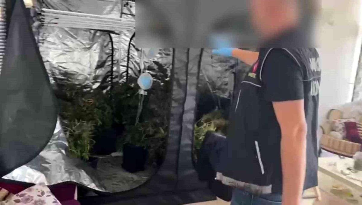 Adana\'da iklimlendirme sistemi ile uyuşturucu yetiştirilen evde 3 kilo 800 gram esrar ele geçirildi