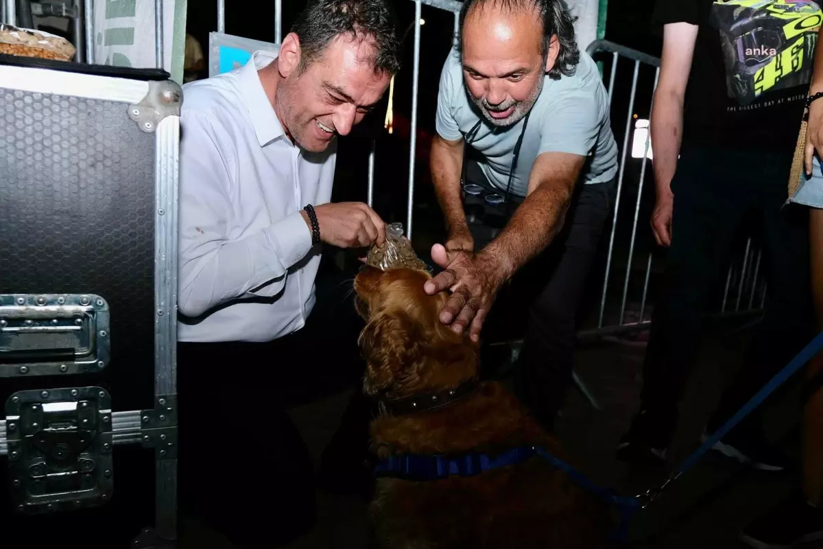 Giresun Belediyesi Sokak Hayvanları İçin Farkındalık Konseri Düzenledi