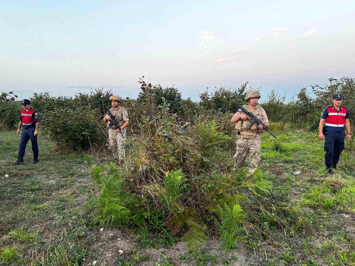 Kocaeli\'de Jandarma Tarlalarda Nöbet Tutarak Fındık Hırsızlıklarını Önlemeye Çalışıyor