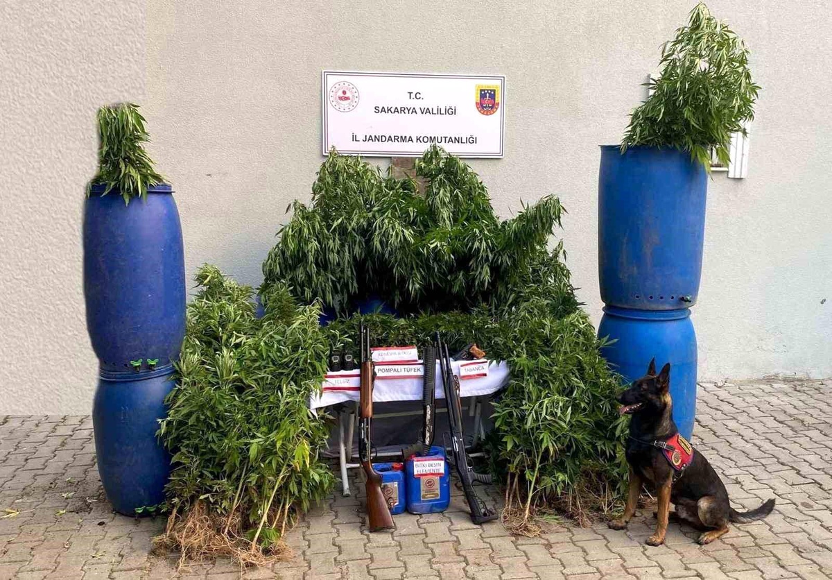 Sakarya\'da Uyuşturucu ve Kaçakçılık Operasyonları: 14 Tutuklama