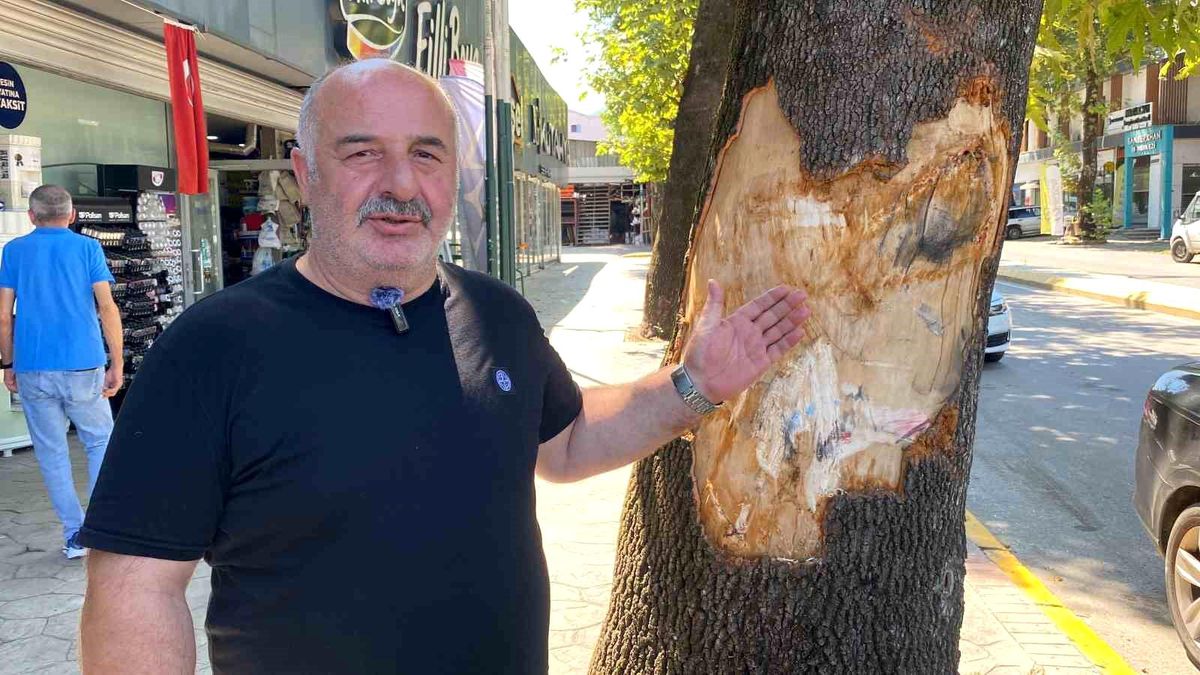 Kocaeli\'de freni boşalan kamyon park halindeki araçlara çarptı