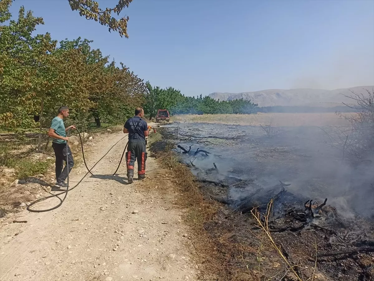 Malatya\'da çıkan anız ve bahçe yangınları söndürüldü