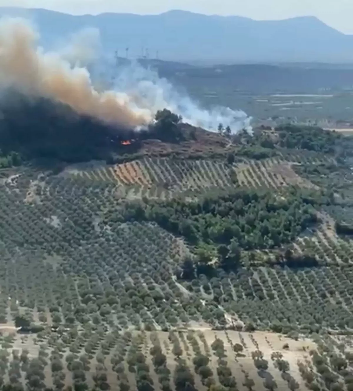 Manisa\'da Orman Yangını: Havadan ve Karadan Müdahale Ediliyor