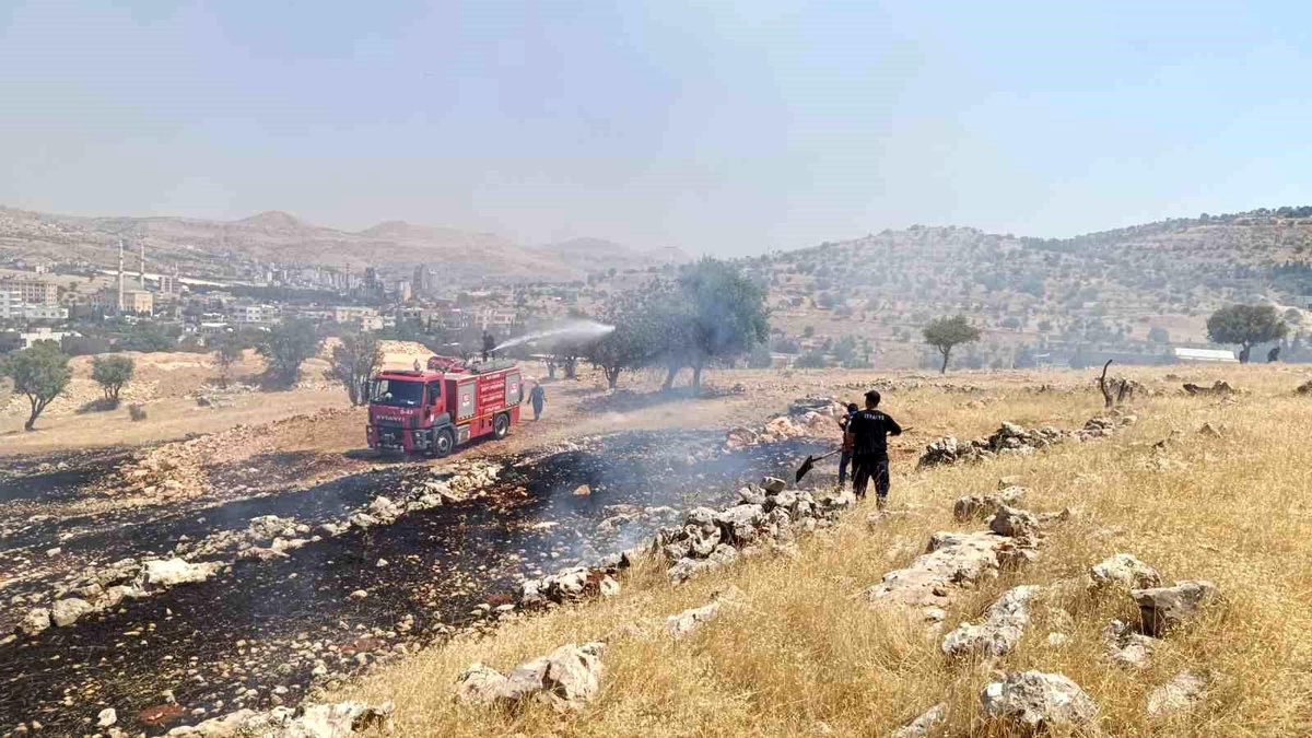 Mardin\'de Ormanlık Alanda Çıkan Yangın Kontrol Altına Alındı