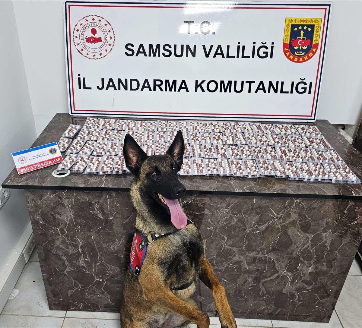 Samsun\'da Polis ve Jandarma Ekipleri 1 Ayda Binlerce Suçluyu Yakaladı