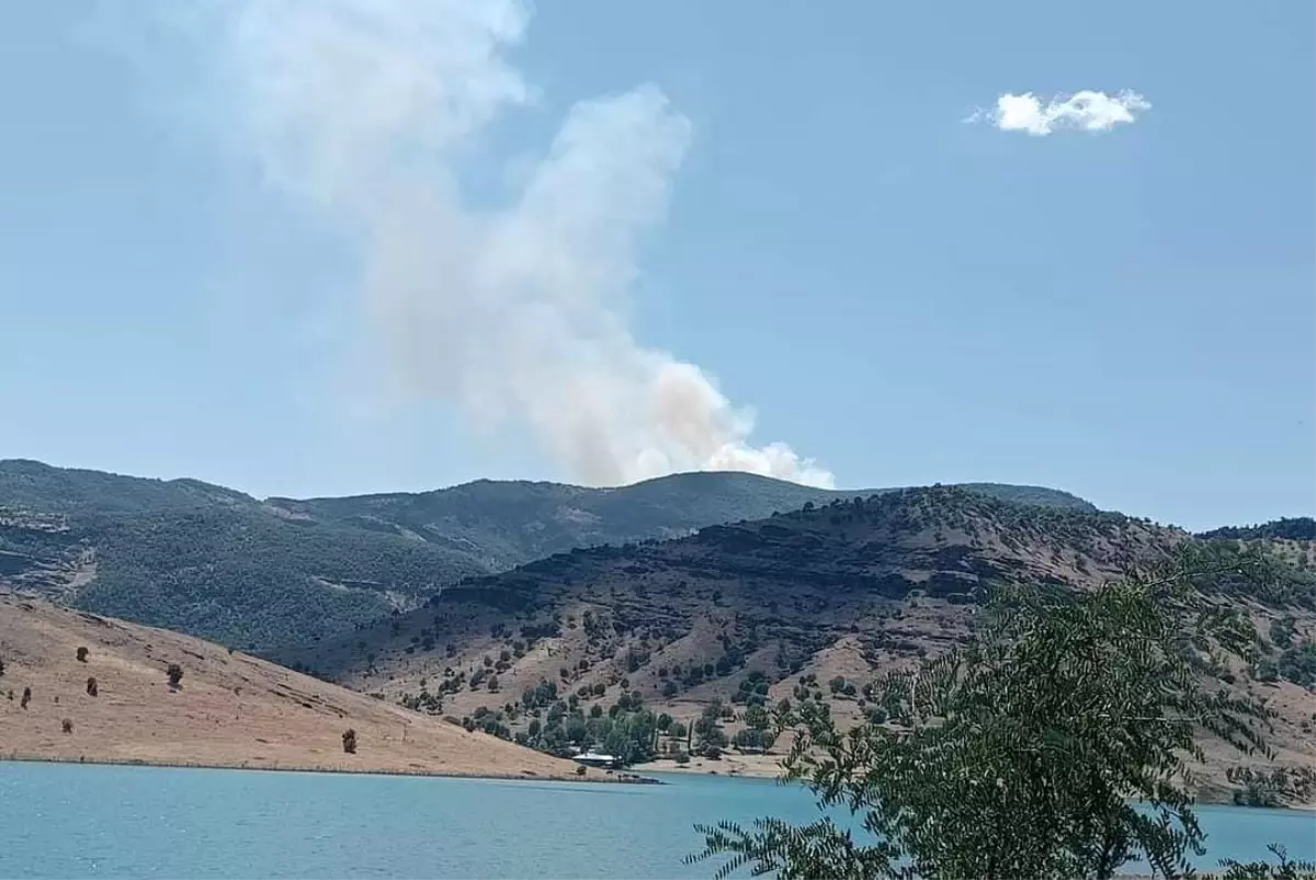 Tunceli\'de Sarp Bir Alanda Orman Yangını