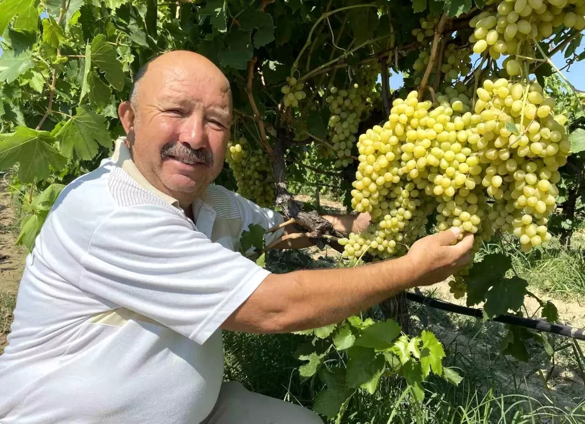 Alaşehir Ticaret ve Sanayi Odası Üreticileri ve Üzüm İşletmelerini Güvence Altına Alıyor