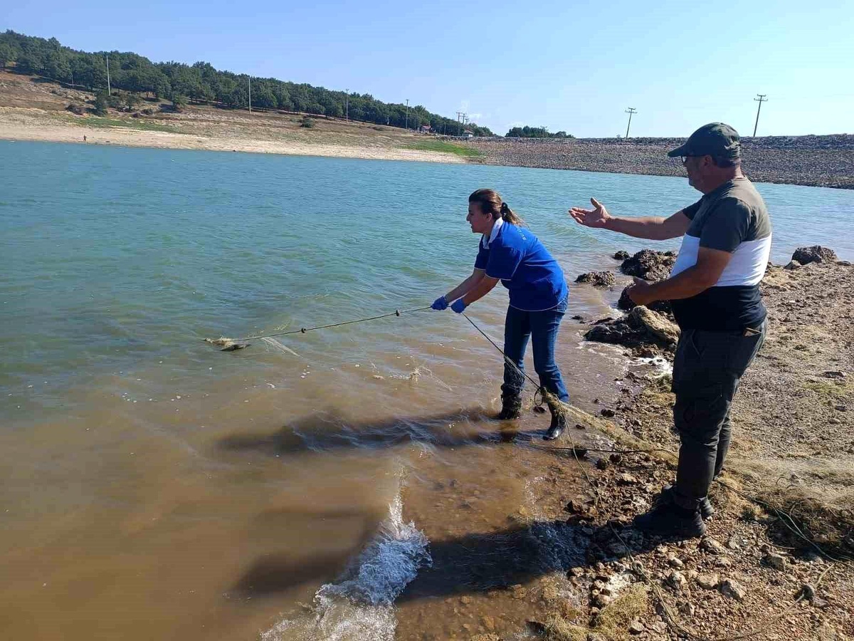 Bolu Gölköy Baraj Gölü\'nde Kaçak Avcılar Tarafından Atılan Ağlar Toplandı