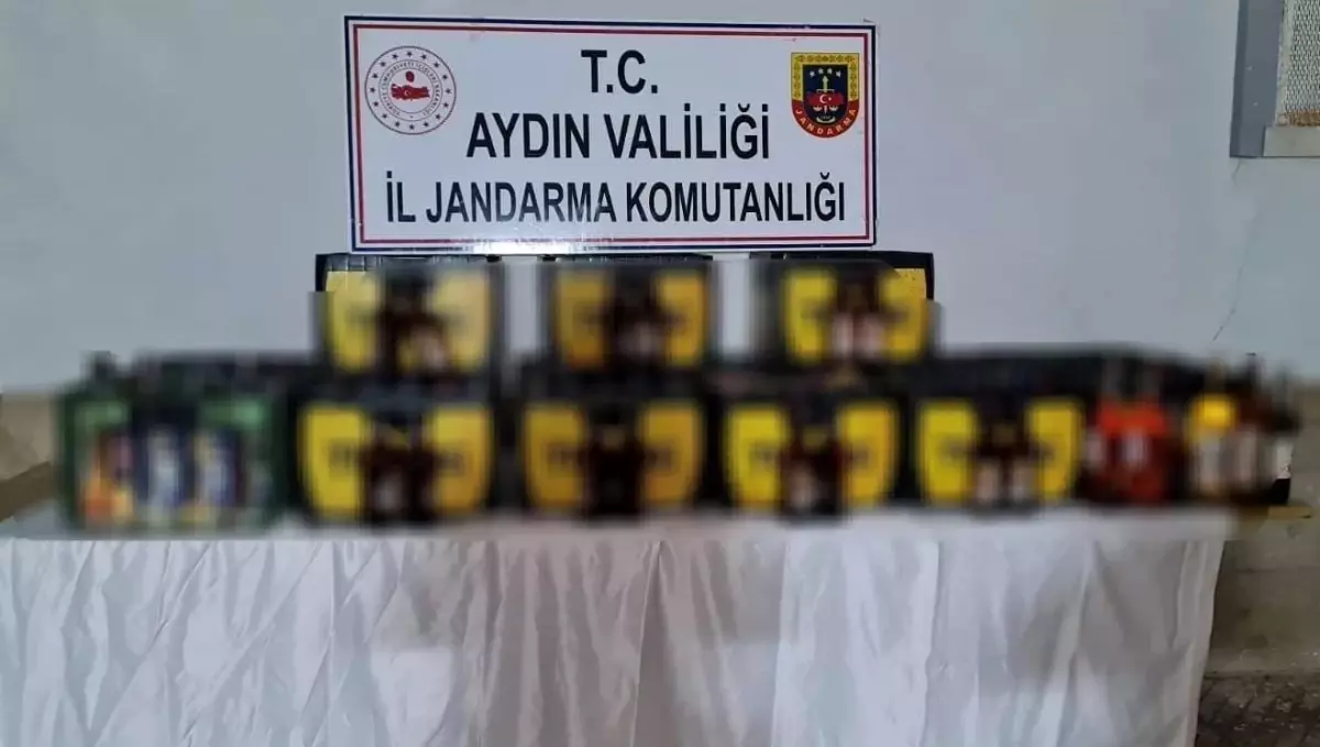 Aydın\'da jandarma ekipleri sahte ve kaçak alkol uygulaması kapsamında 391 iş yerinde kontrol gerçekleştirdi