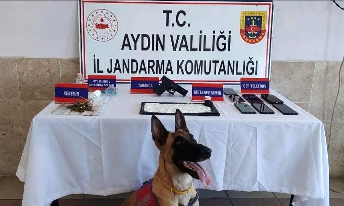 Aydın\'da Jandarma Ekipleri 294 Şüpheliyi Yakaladı