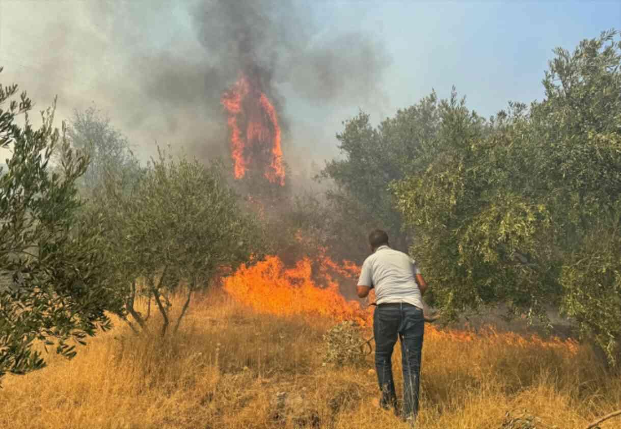 Aydın Muğla Ve Balıkesirde Orman Yangını Alevler Yerleşim Yerlerine Ulaştı Son Dakika 7889