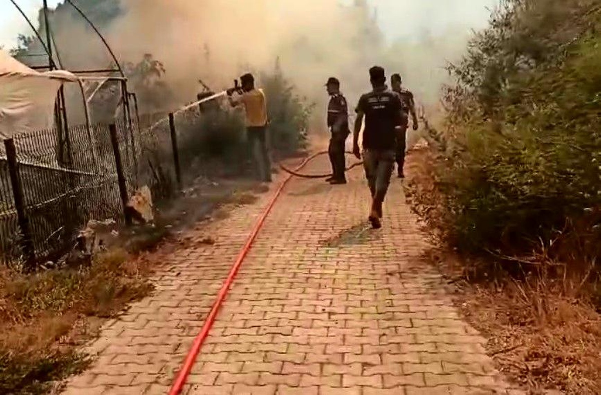 Aydın\'da çıkan yangın yerleşim yerlerini tehdit ediyor