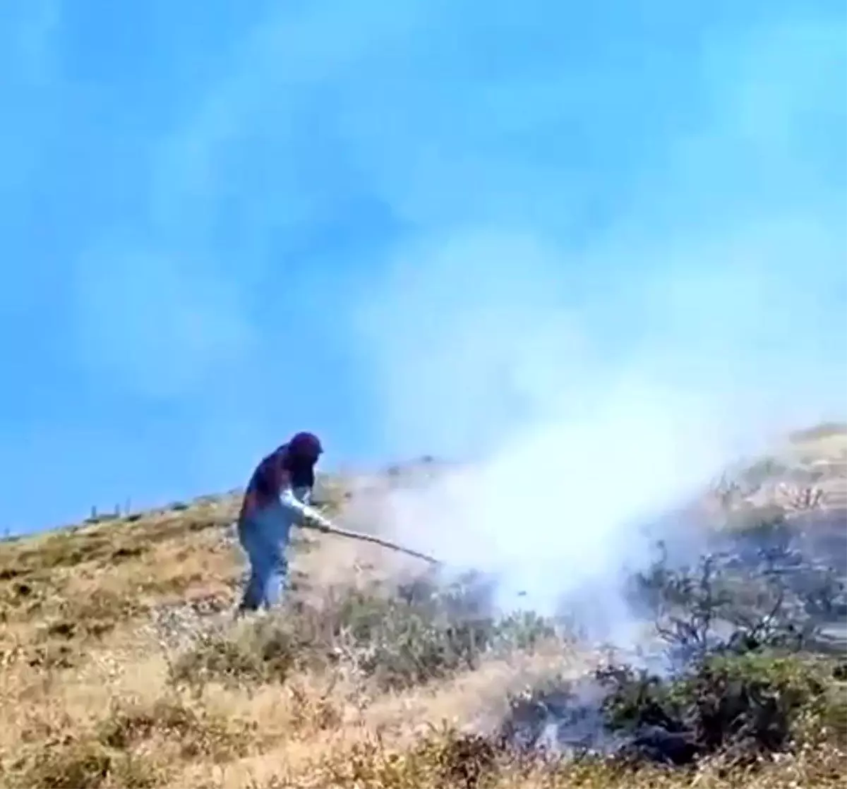 Van\'ın Bahçesaray ilçesinde makilik alanda çıkan yangın mahalle sakinleri tarafından söndürüldü