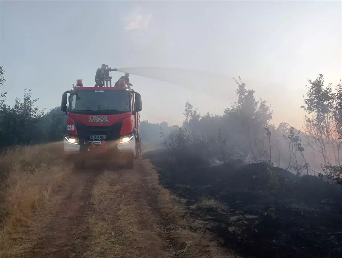 Bingöl\'ün Genç ilçesinde orman yangını çıktı