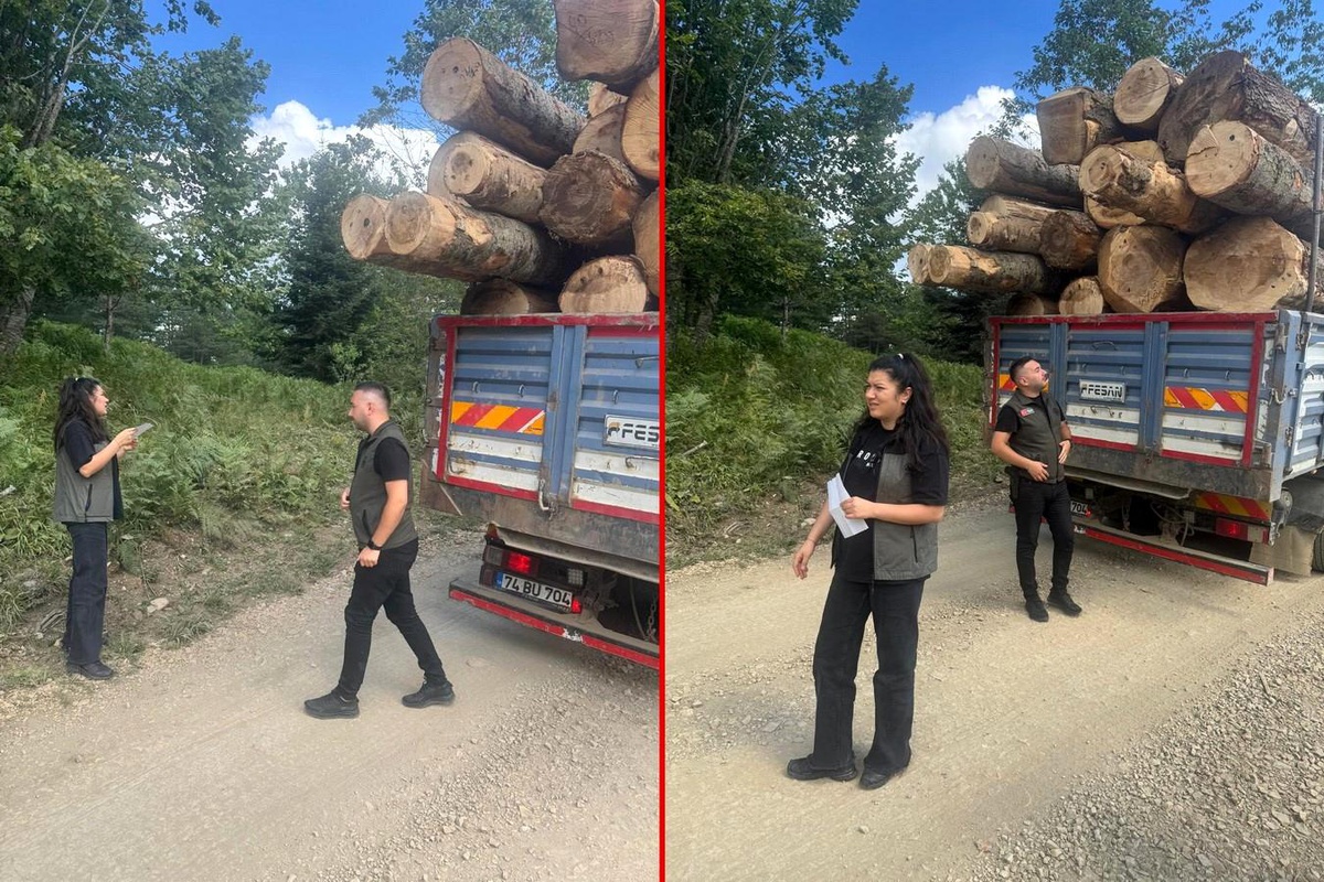 Bolu Orman Bölge Müdürlüğü Kaçak Orman Emvaline Geçit Vermiyor