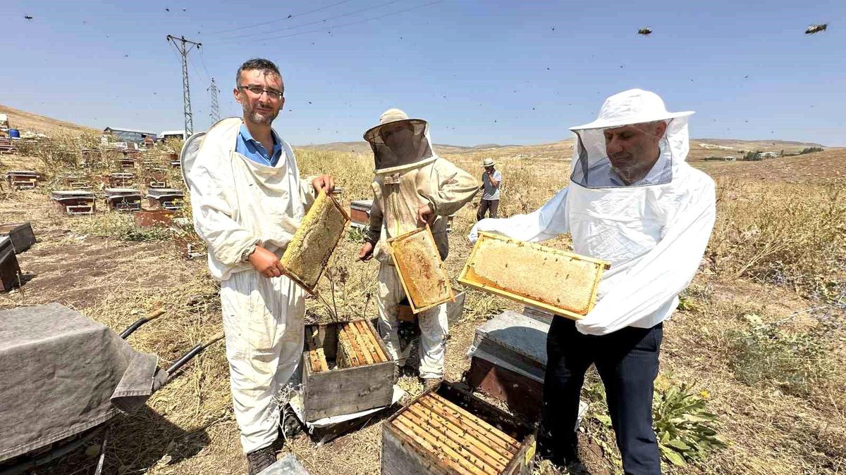 Hakkari\'de Cilo Dağı eteklerinde bal üretimi başladı