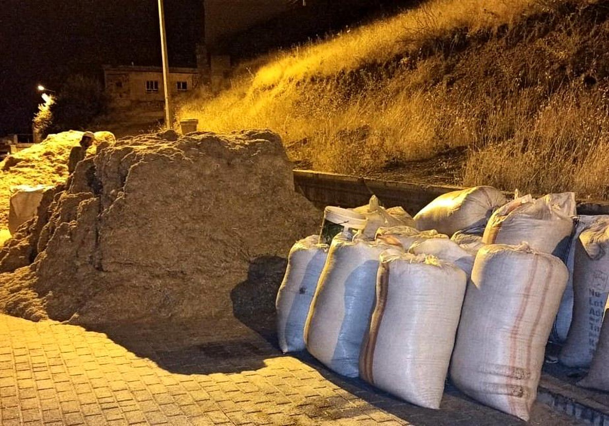 Erzincan\'da çiftçiler saman toplamaya başladı