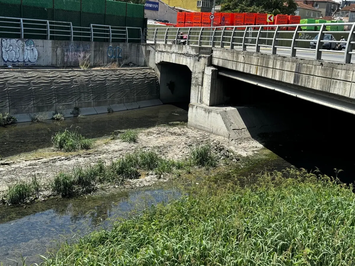 Hem vatandaş hem de esnaf isyanda! Alibeyköy pazarında kokudan durulmuyor