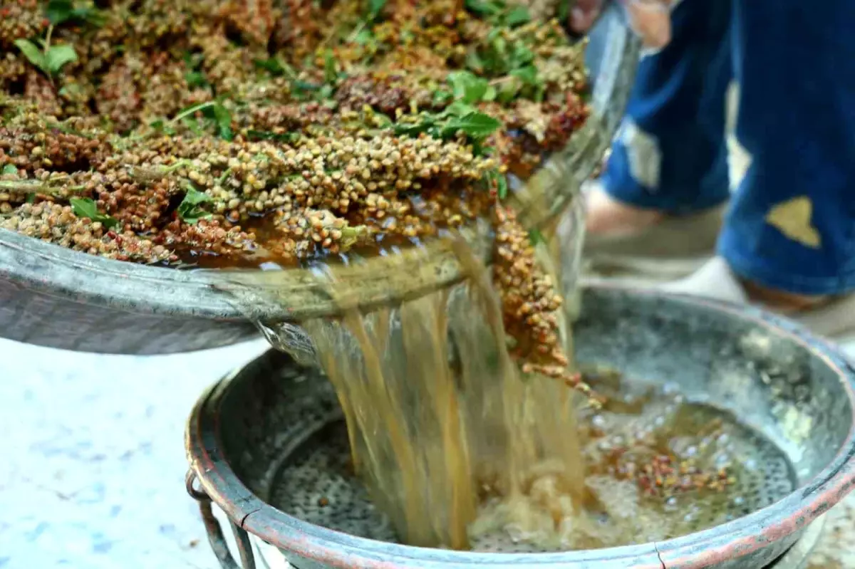 Kahramanmaraş\'ta Sumak Ekşisi Hasadı Başladı