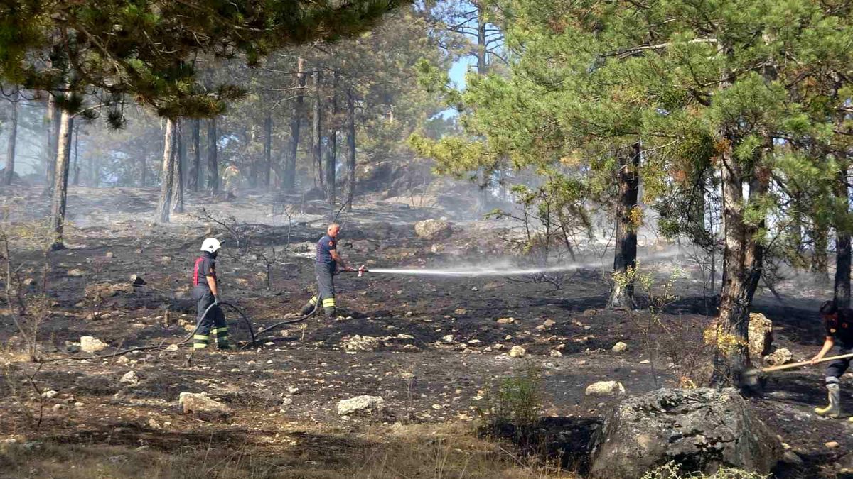 Kastamonu\'da ormanlık alanda çıkan yangın evlere sıçramadan söndürüldü