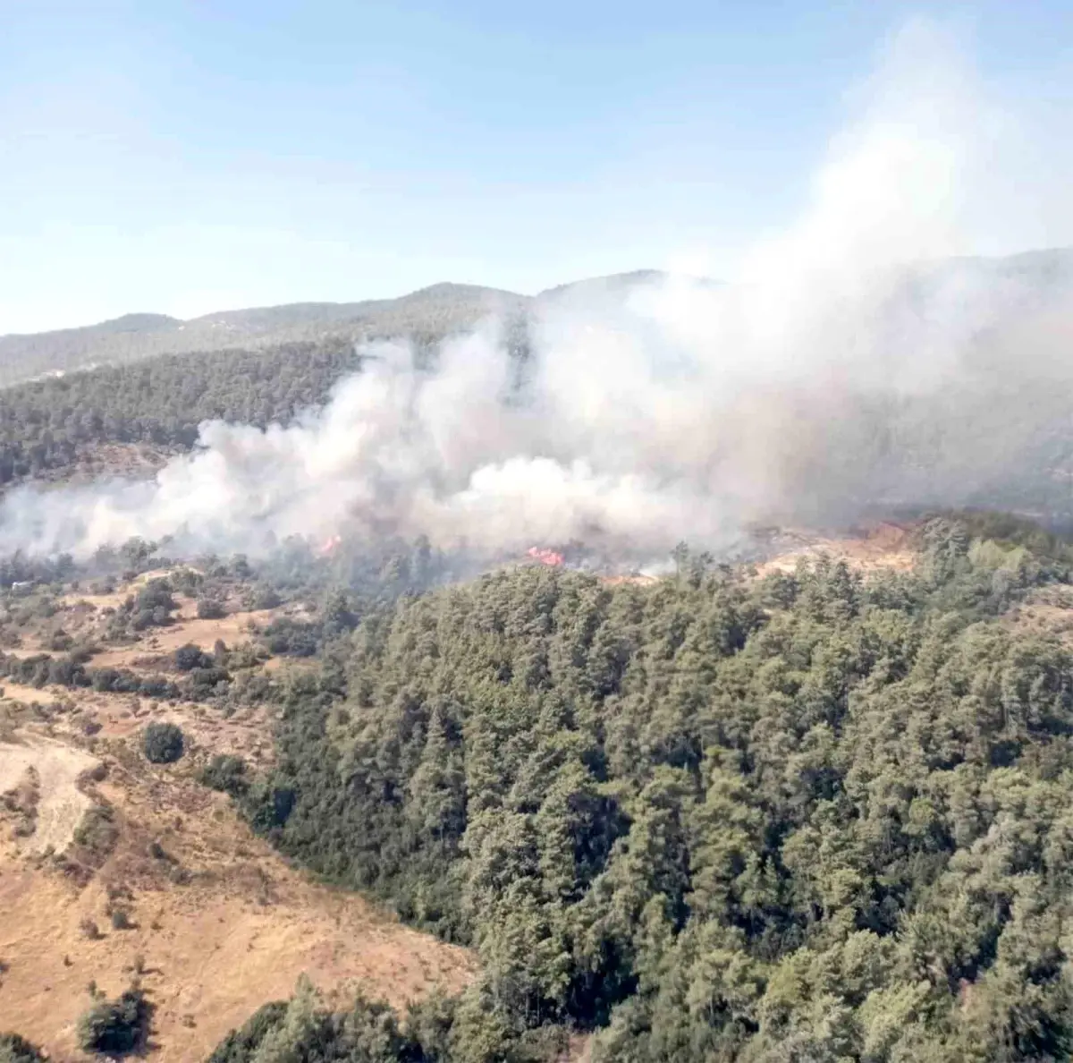 Muğla Milas\'ta Orman Yangını Söndürme Çalışmaları Devam Ediyor