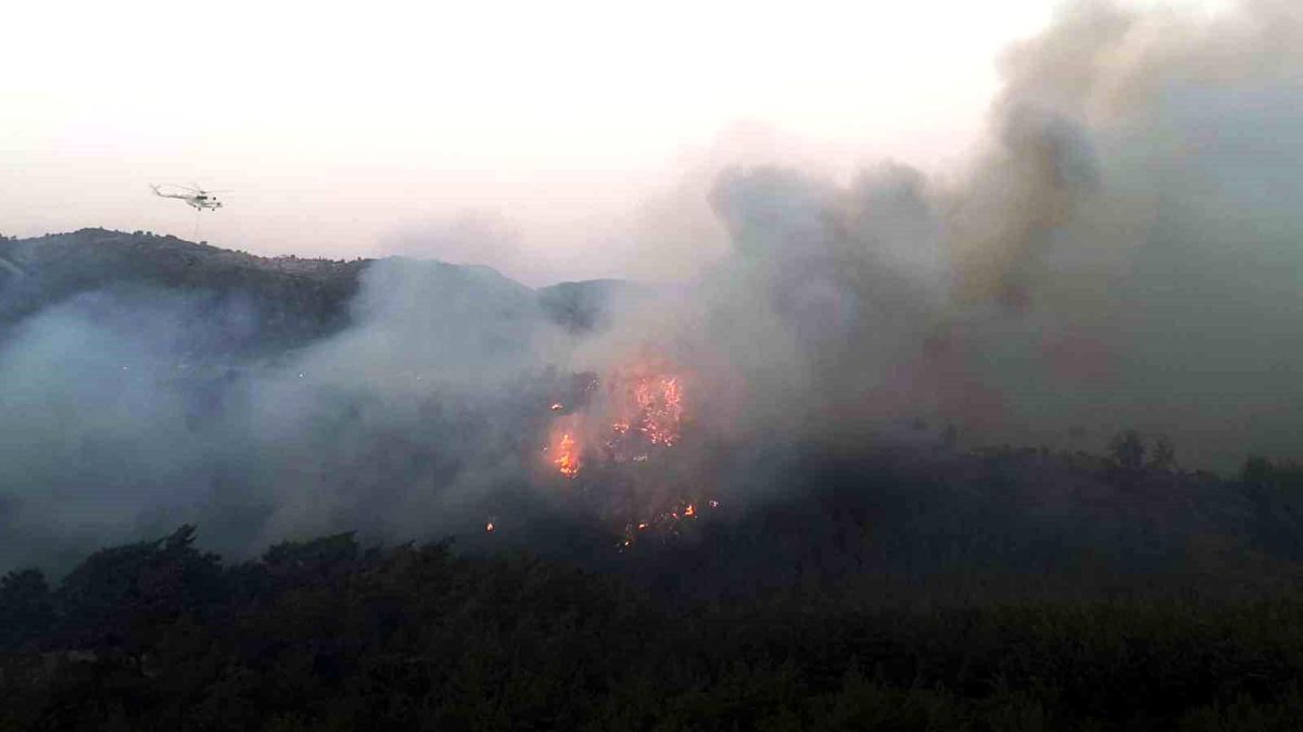 Muğla\'da Sekköy Mahallesinde Orman Yangını Devam Ediyor