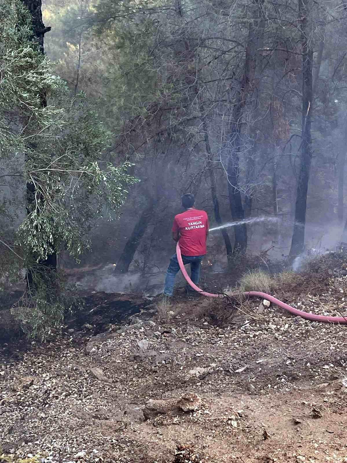 Muğla\'da Sekköy Mahallesi\'nde Orman Yangını