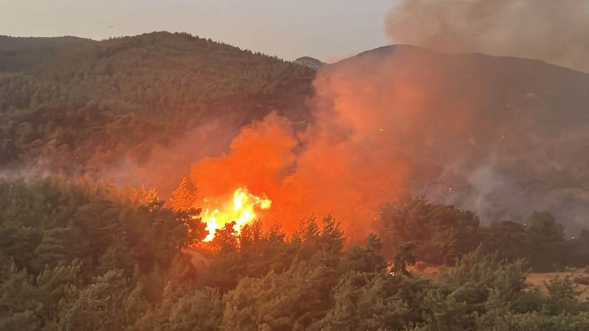 Muğla\'da orman yangınına havadan müdahale sona erdi