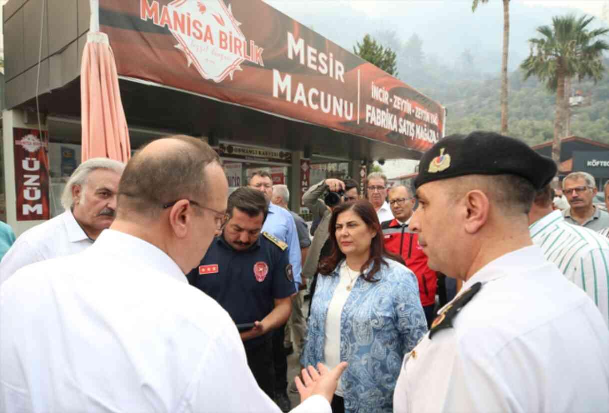 Muğla ve Aydın'daki orman yangını yerleşim yerlerine kadar ulaştı