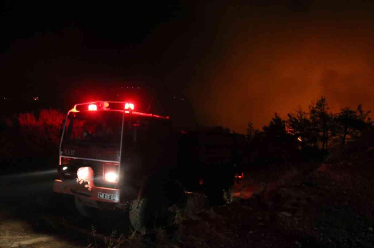 Muğla ve Aydın'daki orman yangını yerleşim yerlerine kadar ulaştı