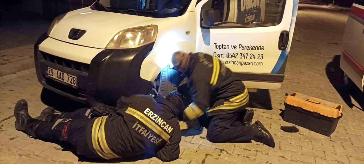 Erzincan\'da Aracın Motor Kısmında Sıkışan Kedinin İmdadına İtfaiye Ekipleri Yetişti