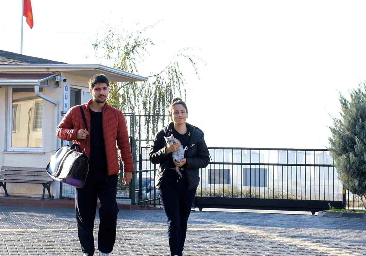 İnegöl Belediyesi\'nden Sokak Hayvanlarına Yuva