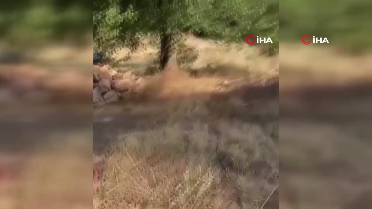Antalya\'da sıcak havadan etkilenen yaban hayvanlarına can suyu