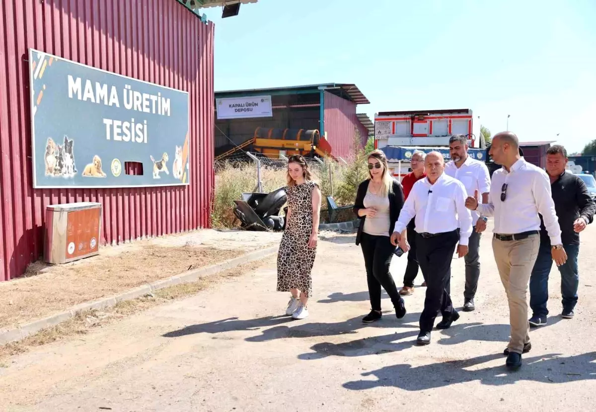 Adana Yüreğir Belediyesi Sokak Hayvanları İçin Mama Üretim Tesisi Kurdu