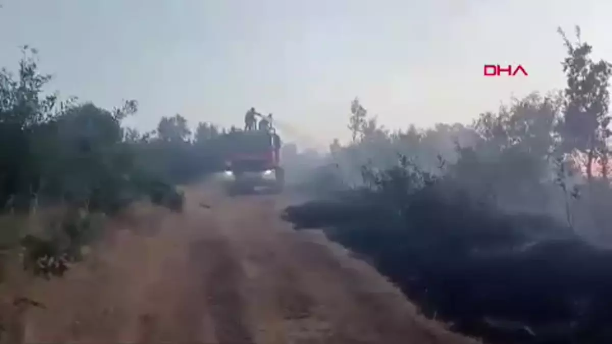 Bingöl\'de Orman Yangını Kontrol Altına Alındı