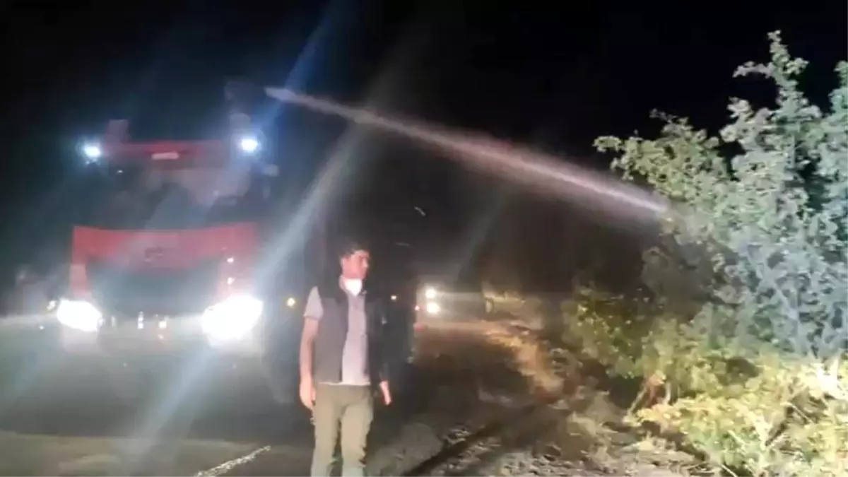 Bingöl\'ün Genç ilçesinde çıkan orman yangını kontrol altına alındı