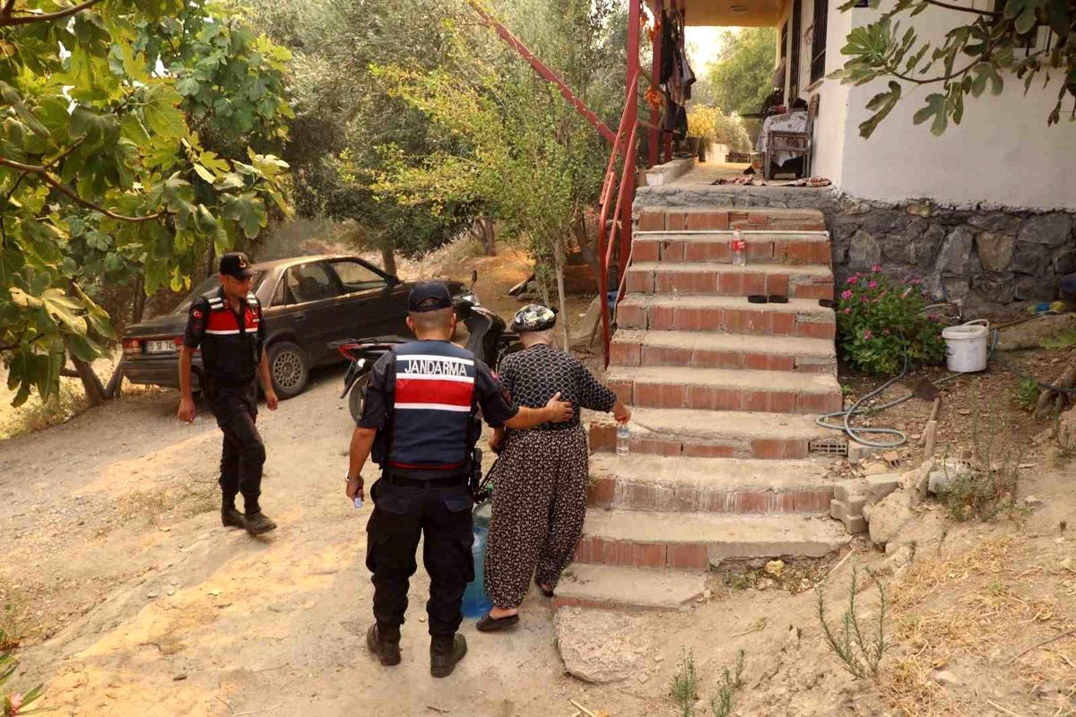 Aydın\'daki orman yangınında jandarma ekipleri aktif rol aldı