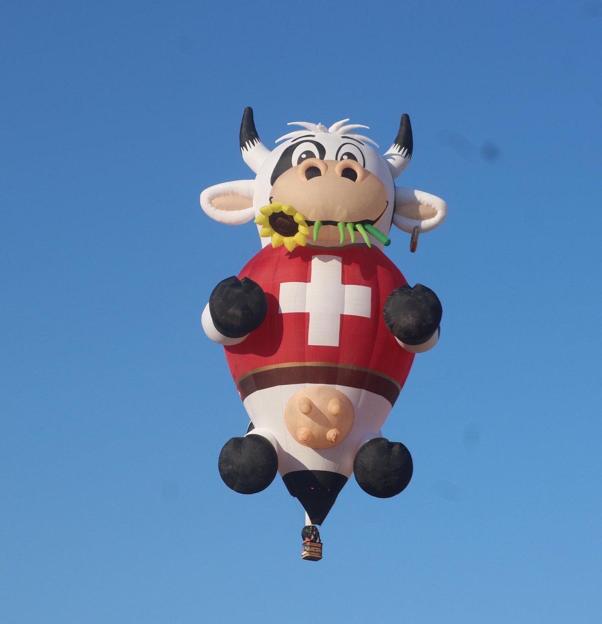 Kapadokya Balon ve Kültür Yolu Festivali\'nde 35 farklı figürlü balon gökyüzünü renklendirdi
