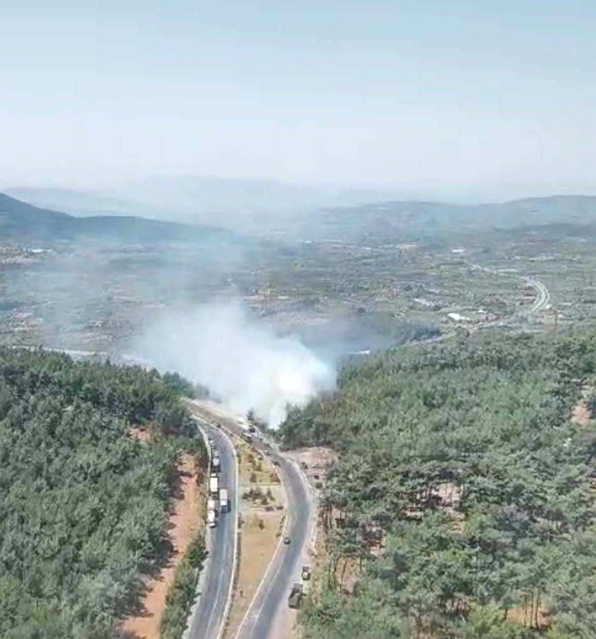 İzmir Kemalpaşa\'da Orman Yangını Kontrol Altına Alındı