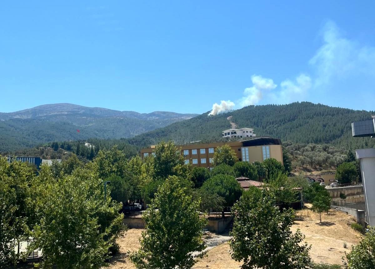 Manisa\'da Spil Dağı Milli Parkı\'nda çıkan yangın kontrol altına alındı