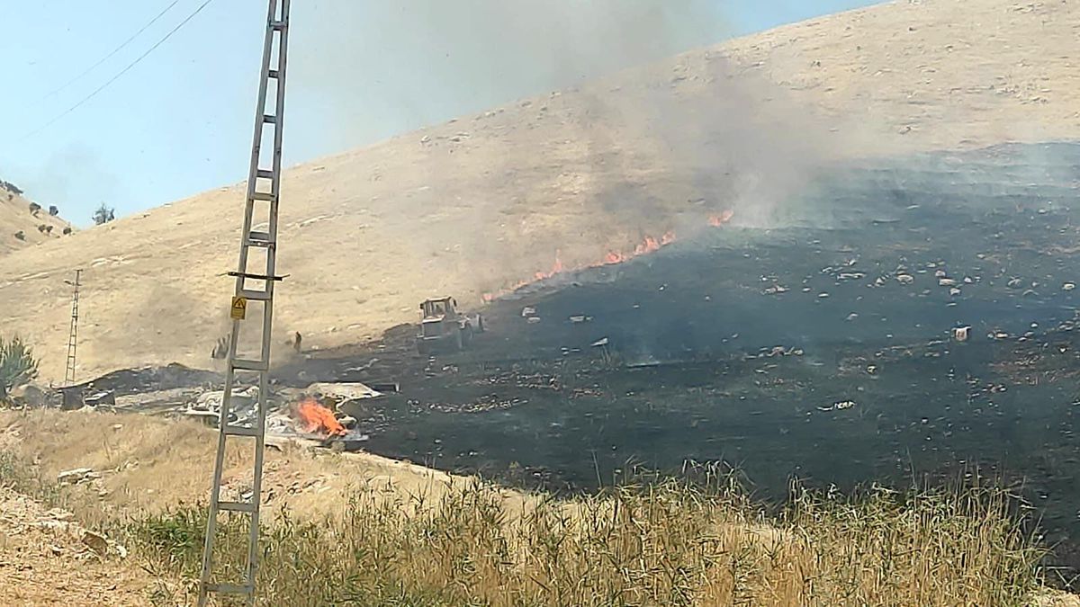 Mardin\'de çıkan ot yangını kontrol altına alındı