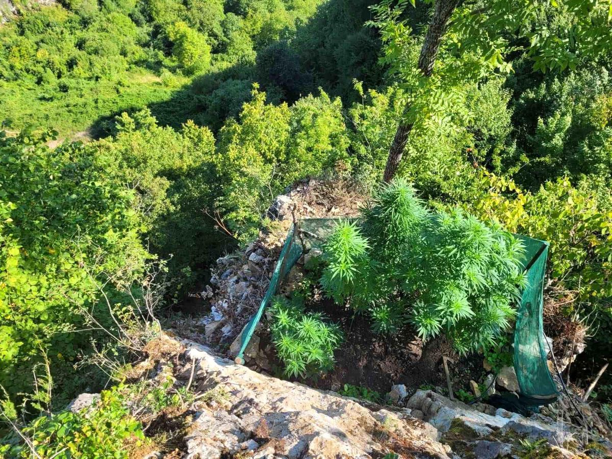 Sakarya\'da Uyuşturucu Operasyonunda 6 Şüpheli Tutuklandı