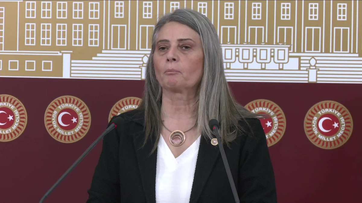 CHP Milletvekili Suiçmez, Karadeniz\'deki maden sahalarının ihaleye çıkarılmasına tepki gösterdi