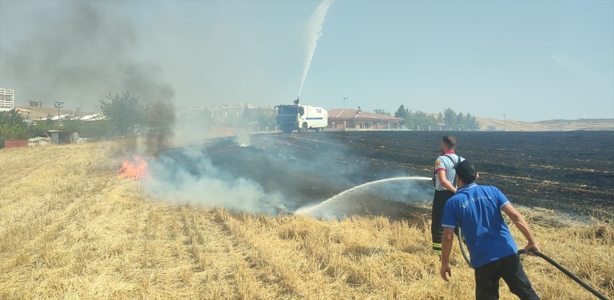 Siirt\'te çıkan arazi yangını söndürüldü