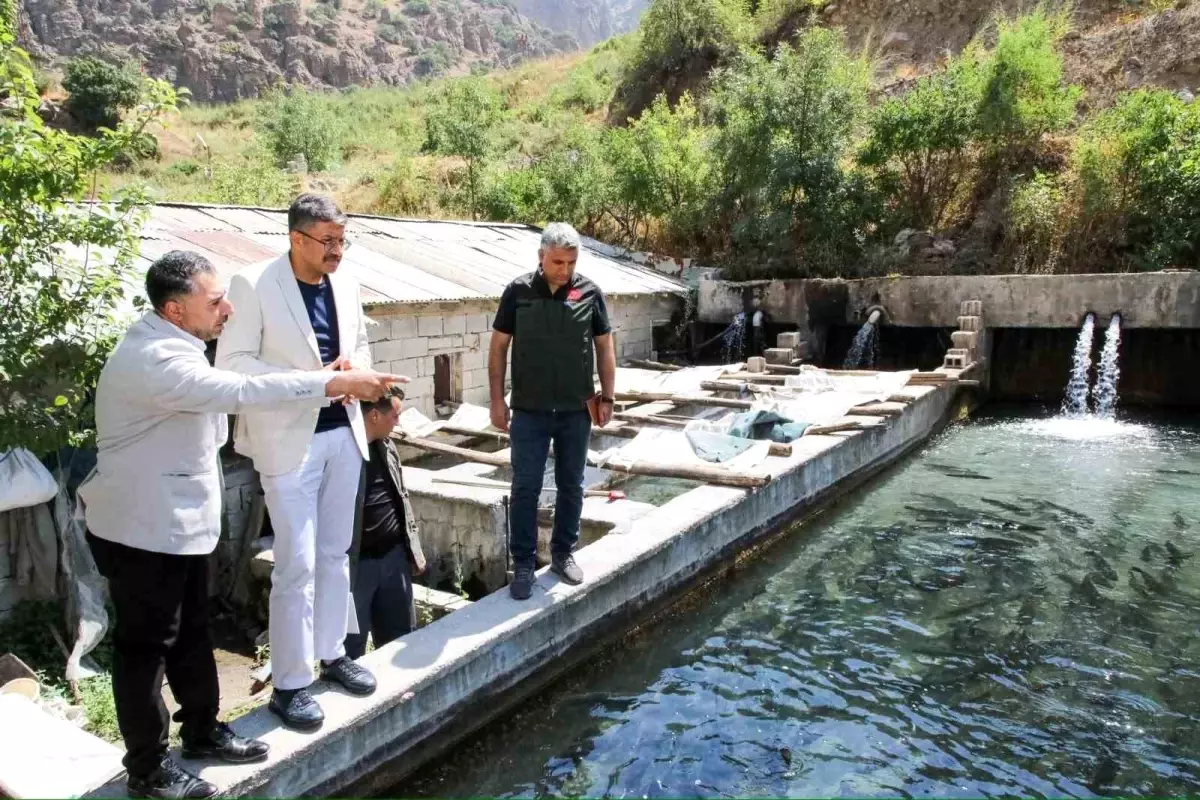 Hakkari Valisi Ali Çelik Alabalık Üretim Tesislerini Ziyaret Etti