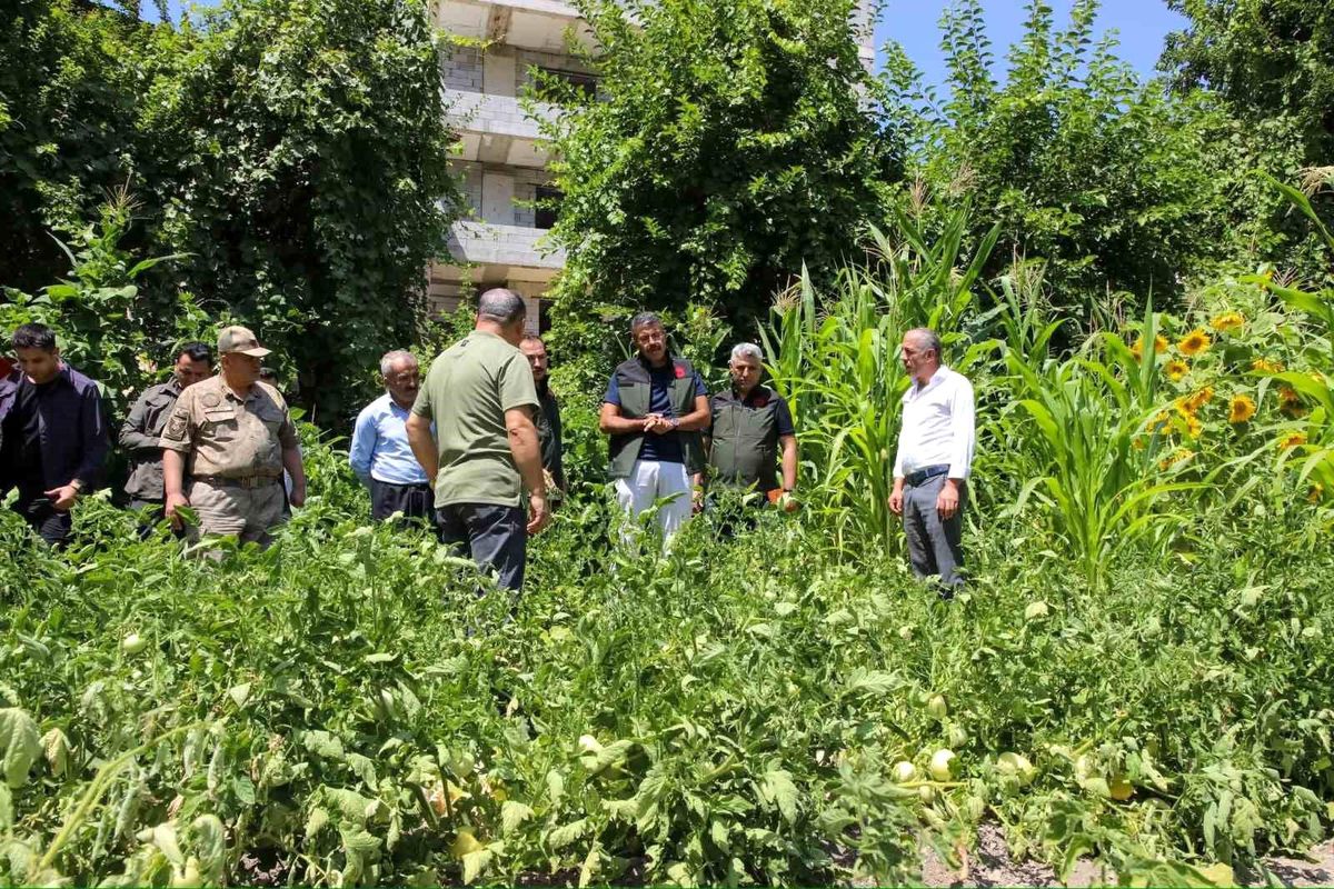 Hakkari Valisi Ali Çelik, tarımsal üretimi artırmak için çalışmaların devam edeceğini söyledi