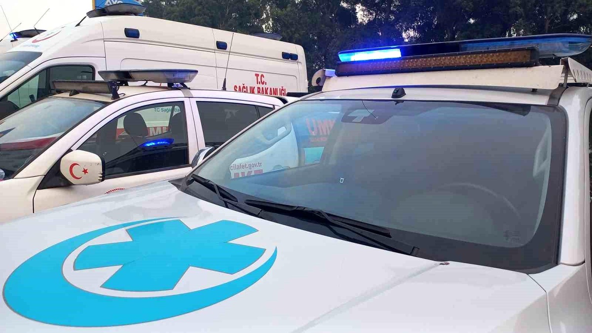 Aydın\'da çıkan orman yangını kontrol altına alındı, 11 kişi dumandan etkilendi