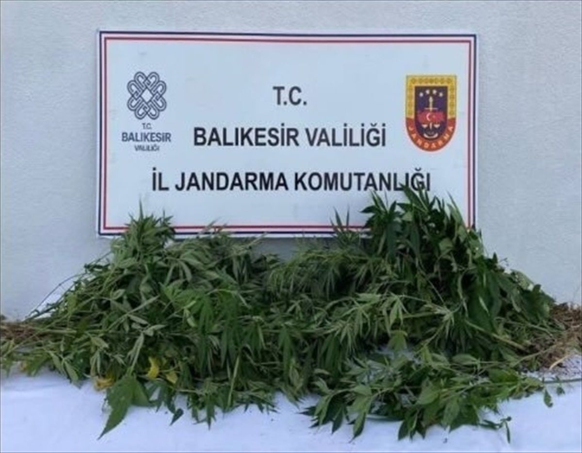 Balıkesir\'de Uyuşturucu Operasyonu: 4 Zanlı Gözaltına Alındı