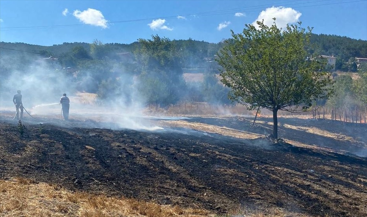 Çanakkale\'de çıkan yangın ormana sıçramadan söndürüldü