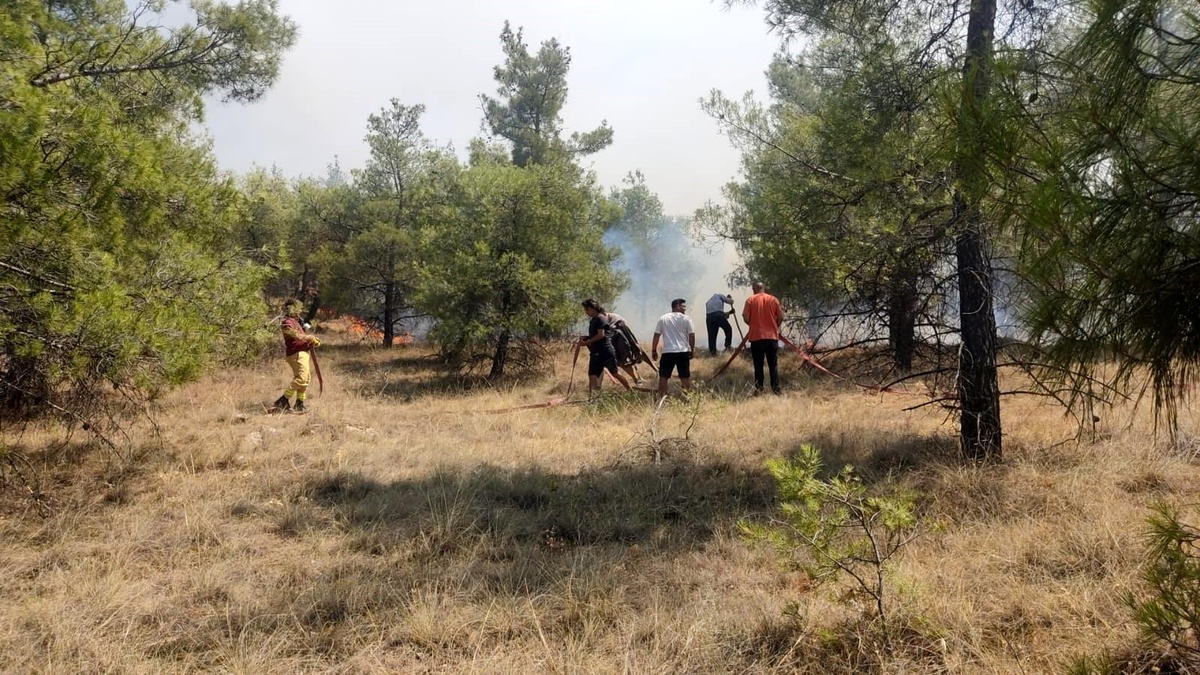 Denizli\'de Ormanlık Alanda Çıkan Yangına Karadan ve Havadan Müdahale
